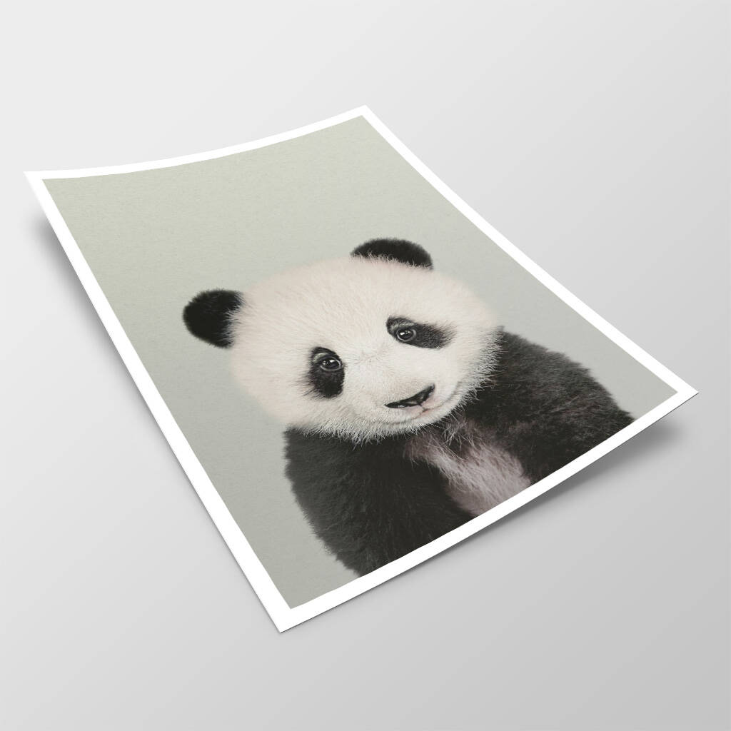 Panda Peekaboo Animal Print By Strawberry Valley Prints 