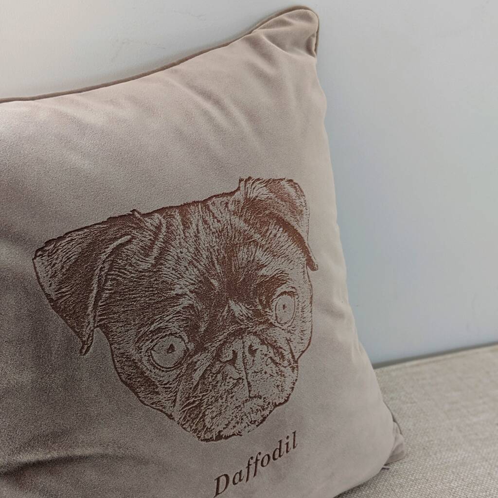 personalized pet cushion