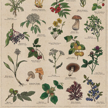 Vintage Gold Botanical Wild Food Print, 2 of 8