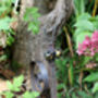 Fun Snail Garden Feature, Handmade In Norfolk, UK, thumbnail 10 of 12