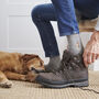 Golden Retriever Dog Walking Socks The Perfect Gift For Dog Lovers, thumbnail 2 of 12