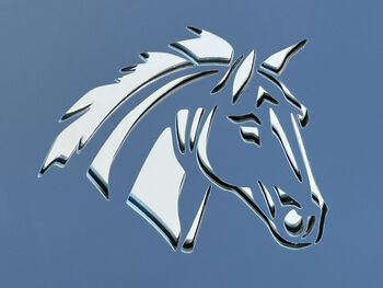 Personalised Horse Head Design House Acrylic Number Sign, 3 of 6
