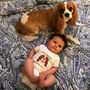 Personalised Dog Babygrow Choice Of Breeds, thumbnail 1 of 11