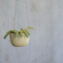 Handmade Stone Hanging Ceramic Planter, thumbnail 4 of 9