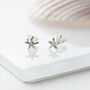 Tiny Sterling Silver Starfish Stud Earrings, thumbnail 1 of 5