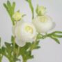 Faux Ranunculus Flowers, thumbnail 3 of 6