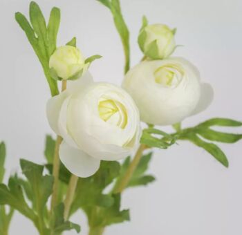 Faux Ranunculus Flowers, 3 of 6