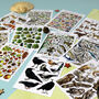 Wildlife Of Britain Postcard Pack Volume Two, thumbnail 8 of 11
