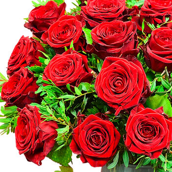 Two Dozen Red Roses Fresh Flower Bouquet Romantic Gift, 4 of 7