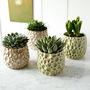 Astro Ceramic Plant Pot, thumbnail 1 of 3