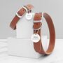 Personalised Leather Dog Collar With Tag, thumbnail 2 of 6