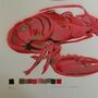 'Common Lobster' Original Signed Painting, thumbnail 9 of 10