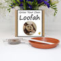 Gardening Gift For Her. Grow Your Own Loofah, thumbnail 1 of 4