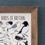 Coastal Birds Of Britain Wildlife Watercolour Print, thumbnail 5 of 6