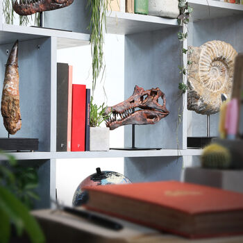 Spinosaurus Dinosaur Skull Hand Painted 3D Model Replica Gifts For Him, 2 of 4