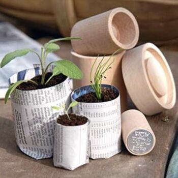 Eco Paper Planter Maker, 2 of 4