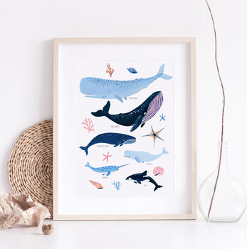Whale Species Art Print, 2 of 7