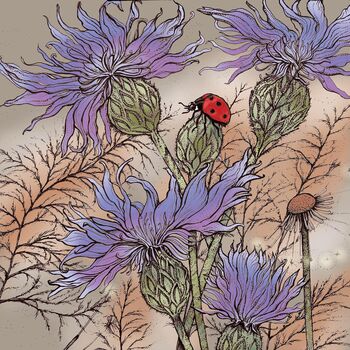 'Ladybird And Cornflowers' Print, 3 of 3