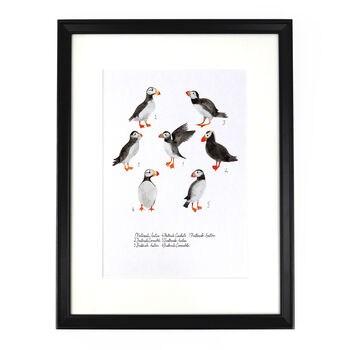 Improbability Of Puffins Art Print, 3 of 8