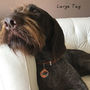 Pointer Dog ID Tag Personalised, thumbnail 6 of 6