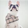 Barkberry Plaid Dog Celebration Bandana, thumbnail 1 of 4