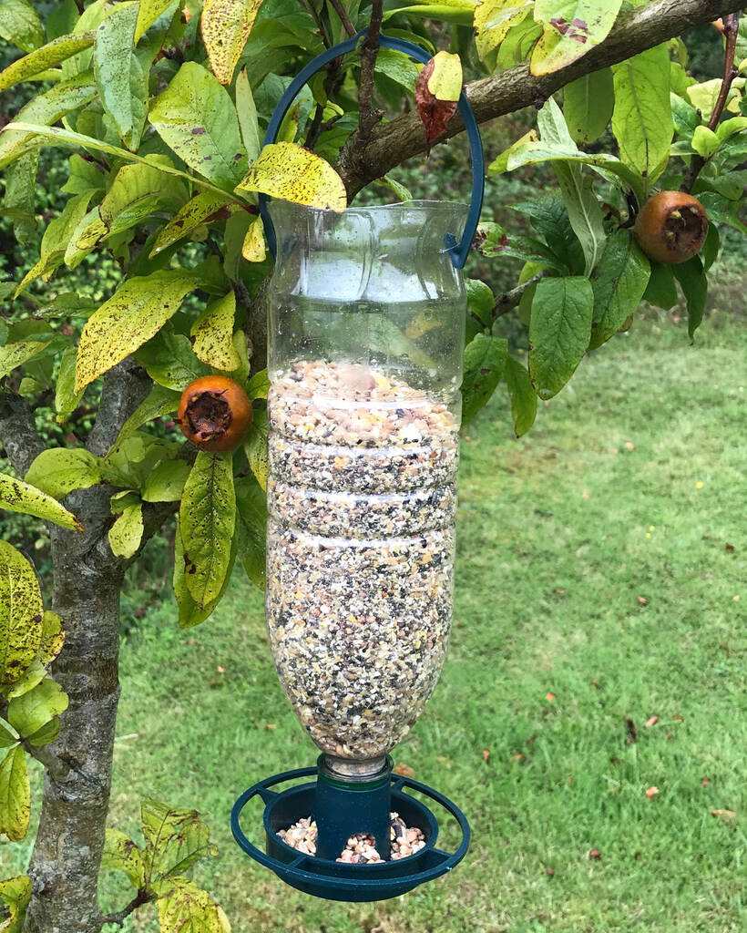 Eco Bottle Top Bird Feeders By Garden Selections