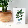 Plant Happy New Home Moving Card, thumbnail 4 of 4