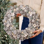 Extra Large Snowdrop Deluxe Christmas Wreath, thumbnail 3 of 10