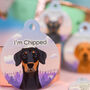 Dog ID Tag Illustrated Custom Misty Morning Forest, thumbnail 4 of 12