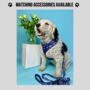 Navy And Pink Floral Dog Harness, thumbnail 6 of 6