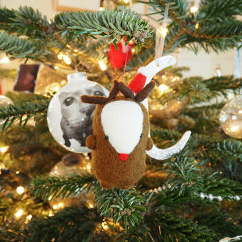 Reindeer Christmas Tree Decoration, 3 of 3