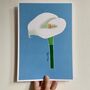 Arum Lily Print On Blue, thumbnail 4 of 7