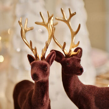 Pair Of Flocked Christmas Reindeer With Golden Antlers, 2 of 8