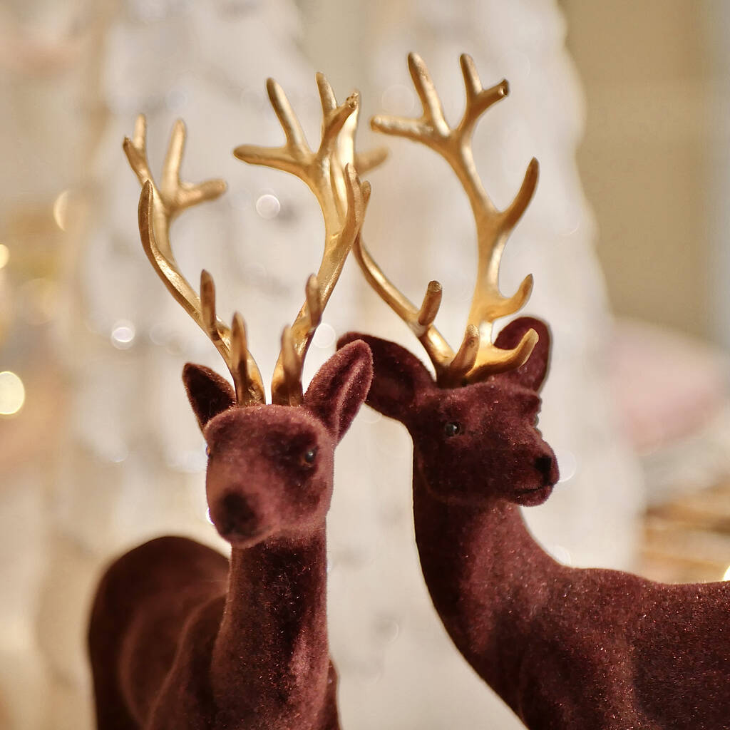 Pair Of Flocked Christmas Reindeer With Golden Antlers By Dress For ...