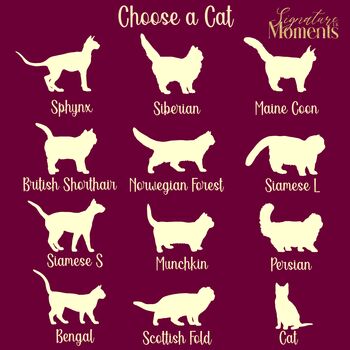 Personalised Cat Engraved Glass, 4 of 4