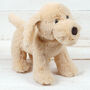 Cuddly Companion Golden Puppy Dog Soft Toy, thumbnail 1 of 7