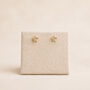 Gold Plated Sterling Silver Textured Star Stud Earrings, thumbnail 5 of 8