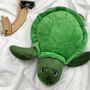 Personalised Hidden Message Turtle Hot Water Bottle, thumbnail 1 of 2