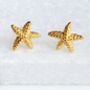 Gold Vermeil Starfish Stud Earrings, thumbnail 2 of 3