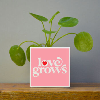 'Love Grows' Valentine's Plant Pot And Houseplant, 6 of 7