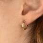 Gold Filled Huggie Hoop Earrings, thumbnail 3 of 8