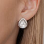 Crystal Teardrop Stud Earrings, thumbnail 1 of 3