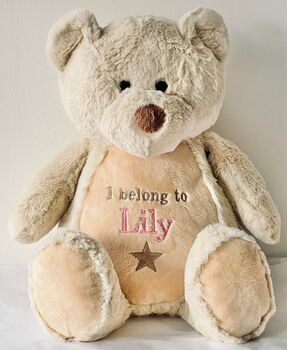 Personalised Embroidered Teddy Bears, 12 of 12