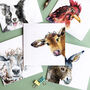 Farmyard Collection Pack Of Five Blank Greeting Cards, thumbnail 1 of 8