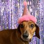 Glittery Party Pet Hats, thumbnail 2 of 7