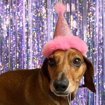 Glittery Party Pet Hats, 2 of 7