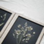Golden Hour Botanical Wall Art – A3 Pressed Flowers In Sand Frame, thumbnail 6 of 7