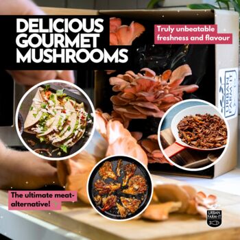 Oyster Mushroom Growing Kit – Gift Option, 9 of 12