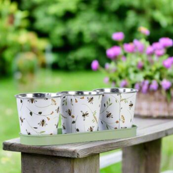 Pots On A Tray, 2 of 3