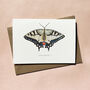 Illustrated Swallowtail Butterfly Card Blank Inside, thumbnail 1 of 7